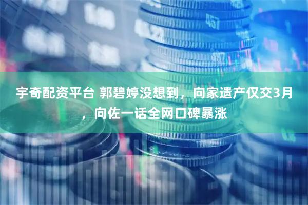 宇奇配资平台 郭碧婷没想到,向家遗产仅交3月,向佐一话全网口碑暴涨